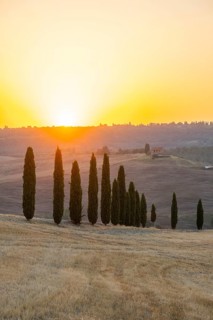 Typical Tuscan landscape in Val d'Orcia with hills, trees, fields, farmhouses and cypresses at