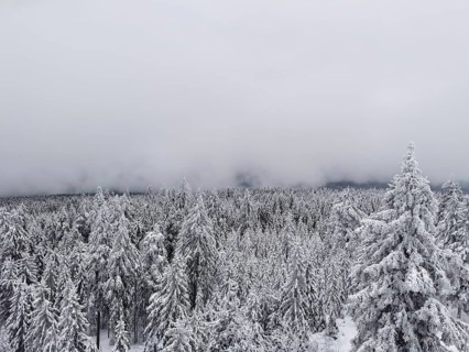 Dense, snow-covered forest with dampening clouds covering the landscape hiking on the Ochsenkopf in