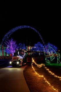 Visitors ride a train through the Christmas lights at the annual Harbor Lights Winter Festival in