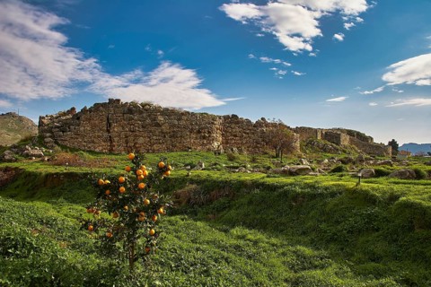 Cyclops wall ruins made of stone with orange tree and green meadow in the foreground under blue