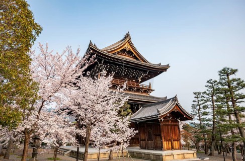Sanmon Gate and blooming cherry trees, Konkai-Komyoji Temple, Buddhist Temple, Kyoto, Japan