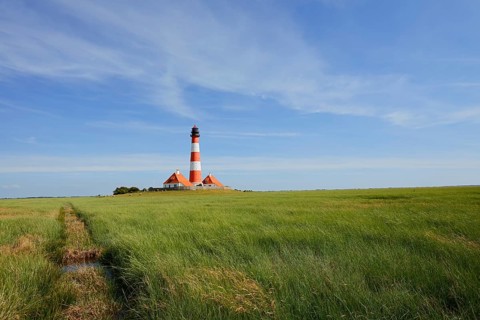 Westerheversand lighthouse and salt marshes, Westerhever, Eiderstedt peninsula, North Frisia,