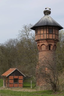 Weissstorch-Paar auf Horst; auf historischem Wasserturm; lat. Ciconia ciconia; Storchendorf