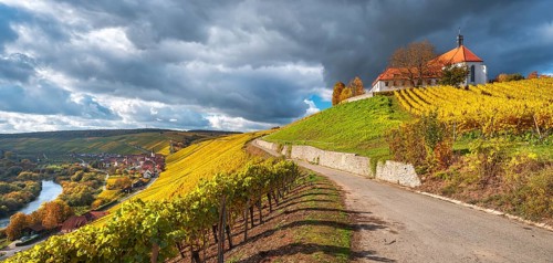 Hiking trail through vineyards to Vogelsburg with Mariä Schutz church in autumn, colorful foliage