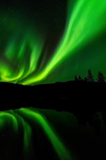 Northern Lights (Aurora borealis) reflected in a lake, Rago National Park, Nordland, Norway,