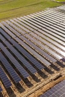 Rows of solar panels shining in sunlight surrounded by green fields, Agri PV Bau für