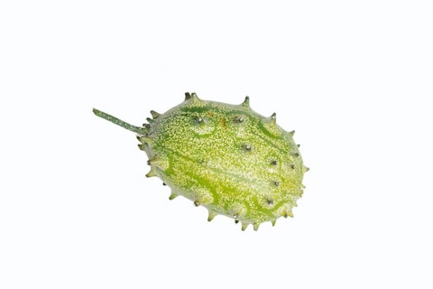 Horned cucumber, kiwano or horned melon (Cucumis metuliferus), fruit on a white background, native
