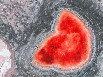 Top view, this image captures a striking red, nesting within the gray textures of Salar de
