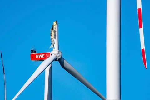 Defective wind turbine, bent rotor blade, in the Bedburg A44n wind farm, in the Garzweiler