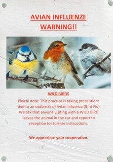 Poster notice about avian influenza bird flu warning, Suffolk, England, UK in window of veterinary