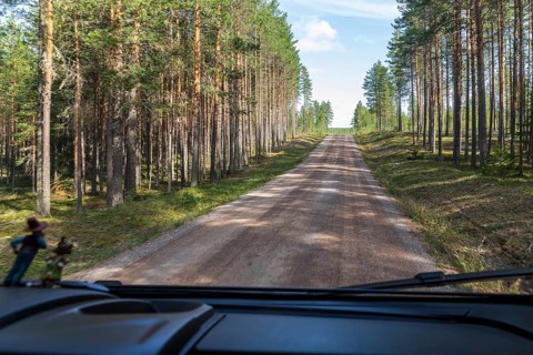 By car on unpaved roads through the vast forests, Dalarnas län, Sweden