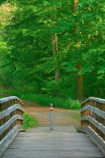 Wooden bridge over Kinzig river leading into a forest path, surrounded by green trees, Bullau,