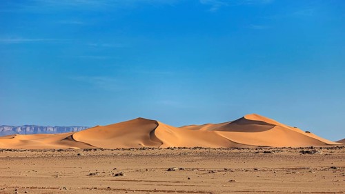 Vast sandy desert landscape with gentle dunes under a clear blue sky, The sand dunes of the Sahara