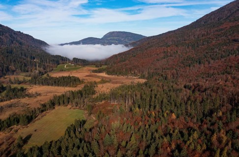 Early morning mist in the Egelsee nature reserve with a view of the Gaisberg, moorland, Puch near