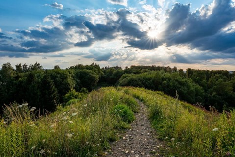 A narrow path on a hill under a dramatic sky with atmospheric clouds and sunbeams, dense forest on