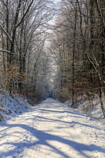 Straight hiking trail on a former railway embankment in the snow near Dürrröhrsdorf-Dittersbach,