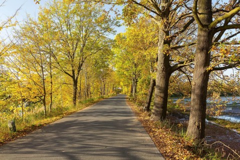 Road between the Zschorna ponds in autumn, Thiendorf, Saxony, Germany