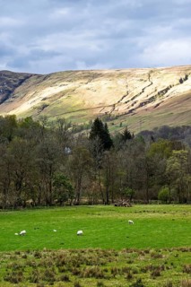 Farm and mountains, Loch Earn, Southern Highlands, Scotland, United Kingdom