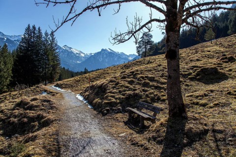 Hiking trail near Hinterstein, Bad Hindelang, Oberallgäu, Allgäu, Bavaria, Germany