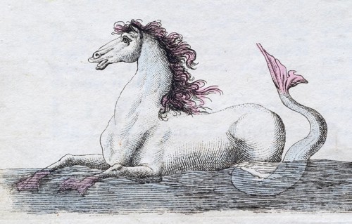 Seahorse, mythical creature, hand-coloured copperplate engraving from Friedrich Justin Bertuch's