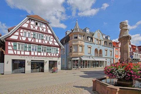 Half-timbered house, Art Nouveau house and fountain with sculpture, monument, bust, main street,