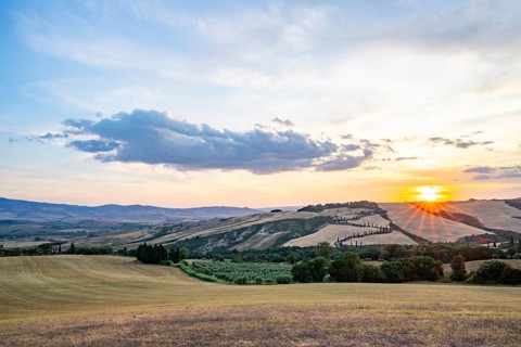 Typical Tuscan landscape in Val d'Orcia with hills, trees, fields, cypresses and farm road in