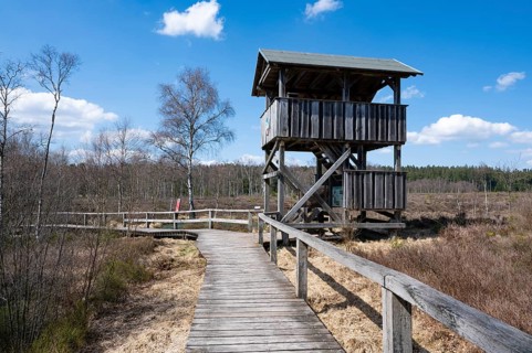 Boardwalk and observation tower in the Mecklenbruch raised bog, nature reserve, Solling-Vogler