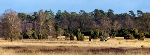 Landscape in the Elmpter Schwalmbruch, Niederkrüchten, North Rhine-Westphalia, Germany