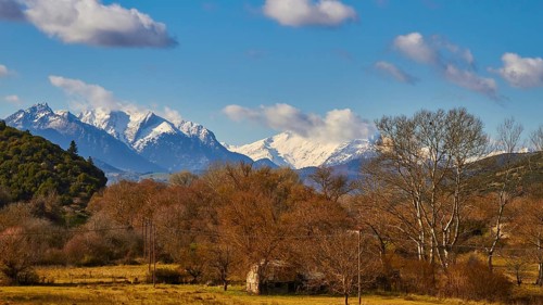 Rural scene with snow-covered mountains and trees in the foreground, autumn foliage, Erymanthos
