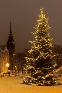 Christmas tree on the snow-covered Wettinplatz, in the background the New Church of St Peter and