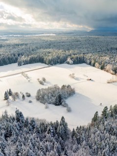 Snowy winter landscape with wide forests and fields under a cloudy sky, peaceful and cold