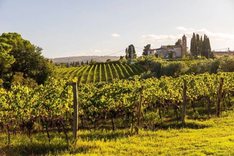 Novice monastery Convento Canonica on a hill surrounded by vineyards, San Gimignano, Tuscany,