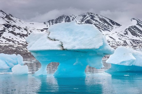 Iceberg, ice floe from calving Monacobreen glacier floating in the Liefdefjorden, fjord in Haakon