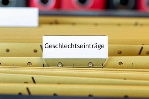 Sign with the inscription GESCHLECHTSEINTRÄGE on a suspension file folder (symbolic image)