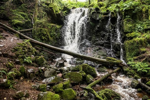 Waterfall, Windberg Waterfall, St Blasien, Southern Black Forest, Black Forest, Germany