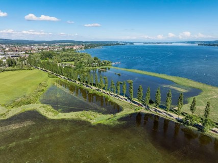 Aerial view of the Mooser Damm with the poplar avenue on the western part of Lake Constance. The