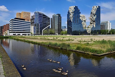Greylag geese (Anser anser), swimming in Kananl, back skyline with office buildings NautaDutilh,