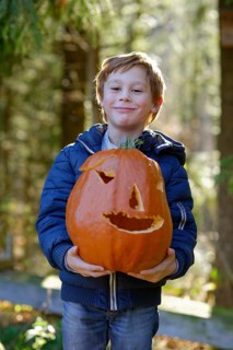 Boy proudly lifting a Halloween pumpkin in autumn, child in autumn, Upper Bavaria, Bavaria, Germany