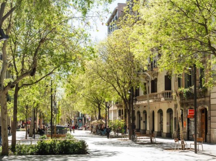 Superblock or Superilla in the Eixample neighbourhood, a highly restricted area of the city in