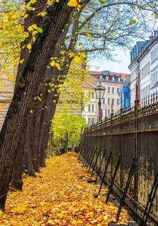Autumn in the city, residential buildings on the grounds of the Sophienkirche in Berlin-Mitte,