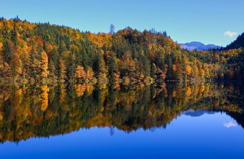 Mountain lake, Colourful autumn forest reflected in the Nussensee, Salzkammergut, Salzburg