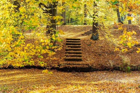 Castle park of Hermsdorf Castle in autumn, Ottendorf-Ockrilla, Saxony, Germany