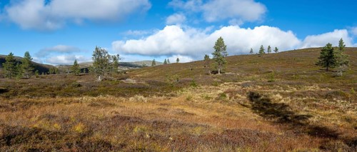 Autumn landscape, Pallas-Yllästunturi National Park, Lapland, Finland