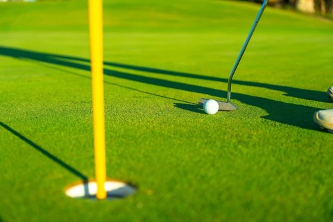 Close-up of golf ball and club near cup