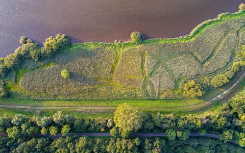 Aerial view of Lake Dümmer, nature reserve, reeds, shore, Ochsenmoor, Hüde, Lower Saxony, Germany