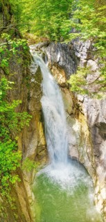 A waterfall plunges into a rocky pool surrounded by lush greenery, tatzelwurm
