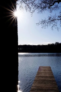 Werbellinsee, April, Brandenburg, Germany