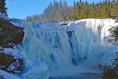 An impressive waterfall with ice formations and neighbouring forest, winter, Sweden's highest