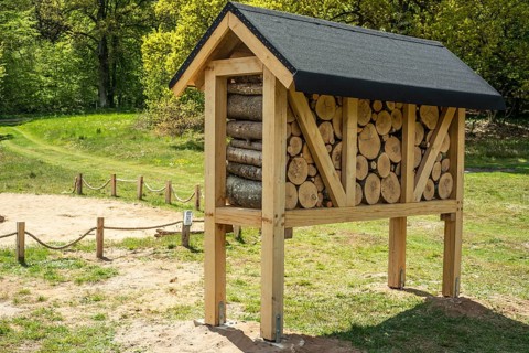 Insect asylum, insect box, insect hotel, bee house, an artificial help for nesting and
