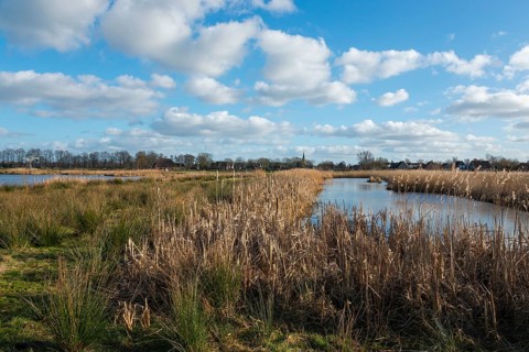 National Park De Alde Feanen, the old fen, Earnewald, Eernewoude, Friesland, Fryslân, Netherlands